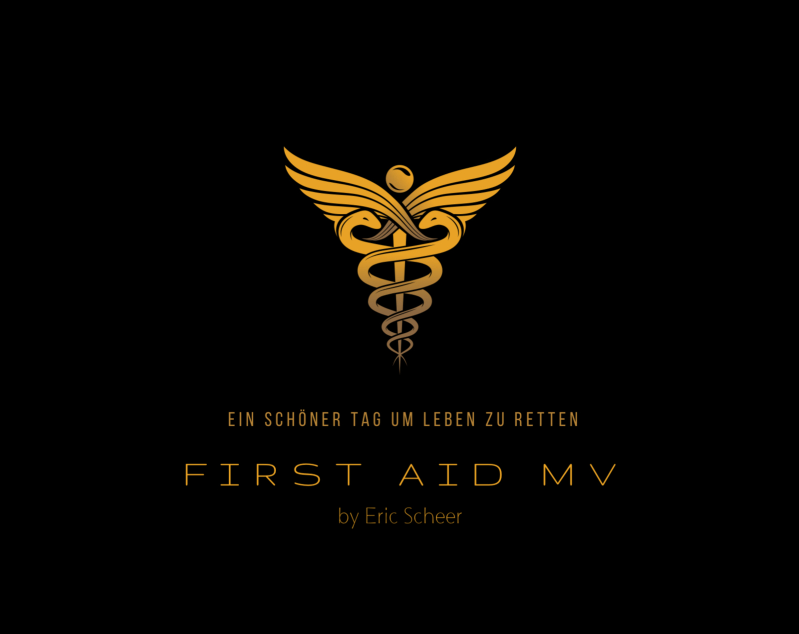 FirstAid MV Erste Hilfe Schule Stralsund